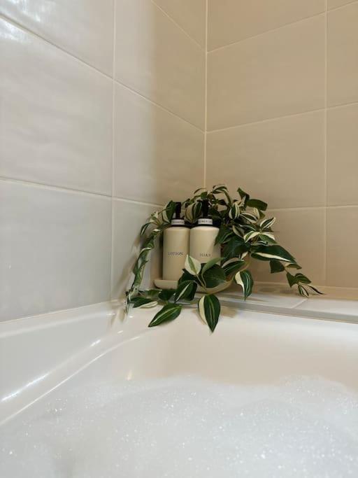 Jungle Suite - Moderne & Spacieux Annecy Ngoại thất bức ảnh